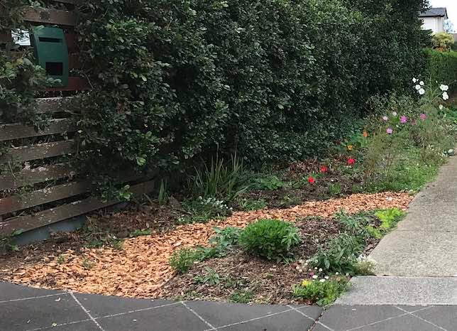 photo of the postie path through the verge garden
