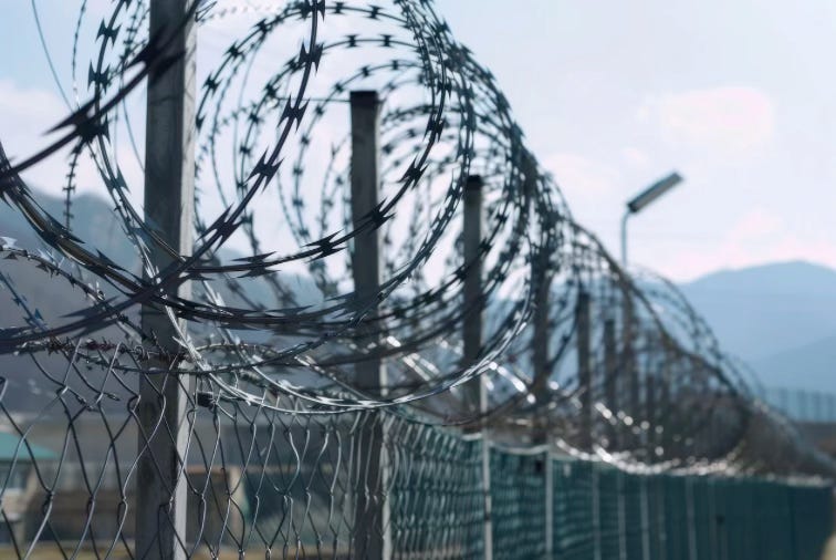 michaeltsnyder.substack.com