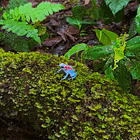 Feeling Froggy? Then Jump! Tabs, Thurs., April 23, 2026