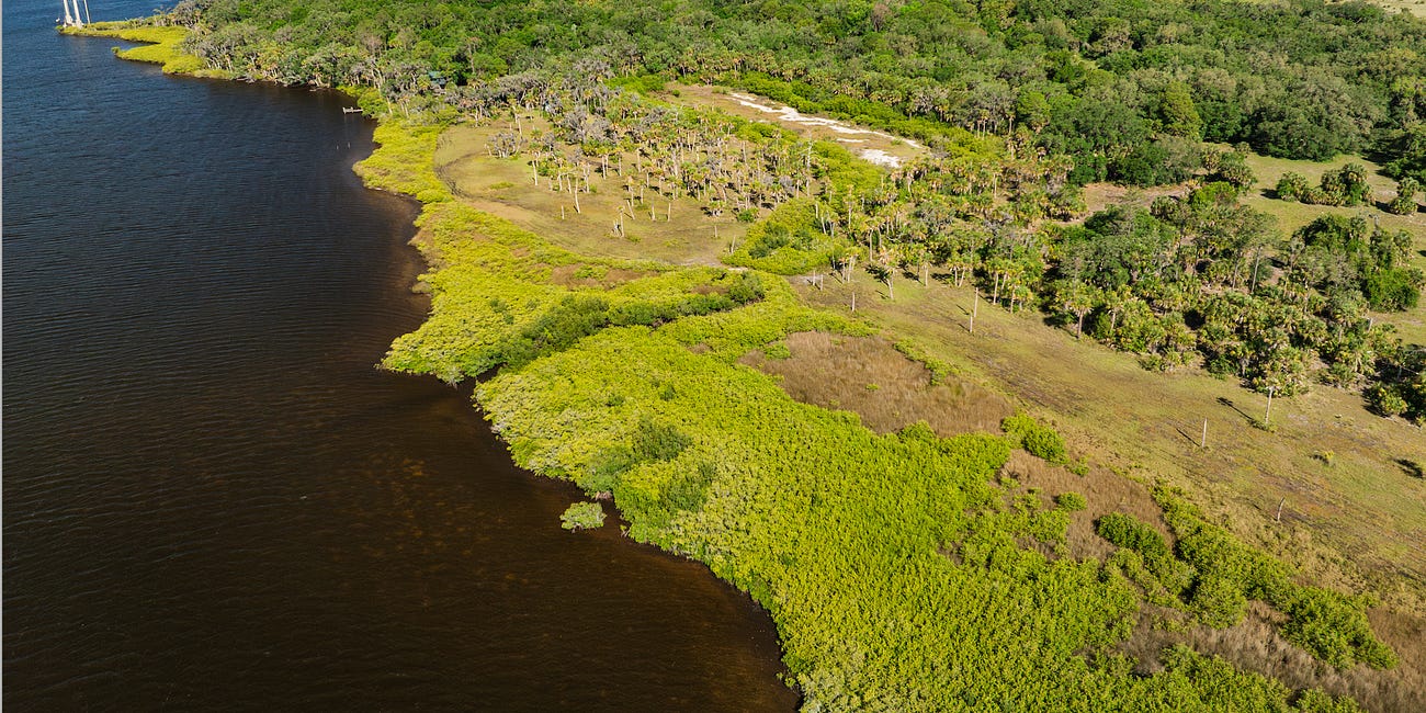 Manatee County Honored by NOAA for River Restoration and Conservation Efforts