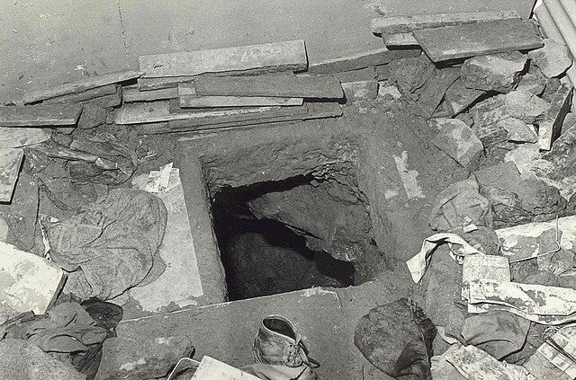 Ingenuity meets desperation: Unraveling the cunning tactics behind legendary prison escapes.