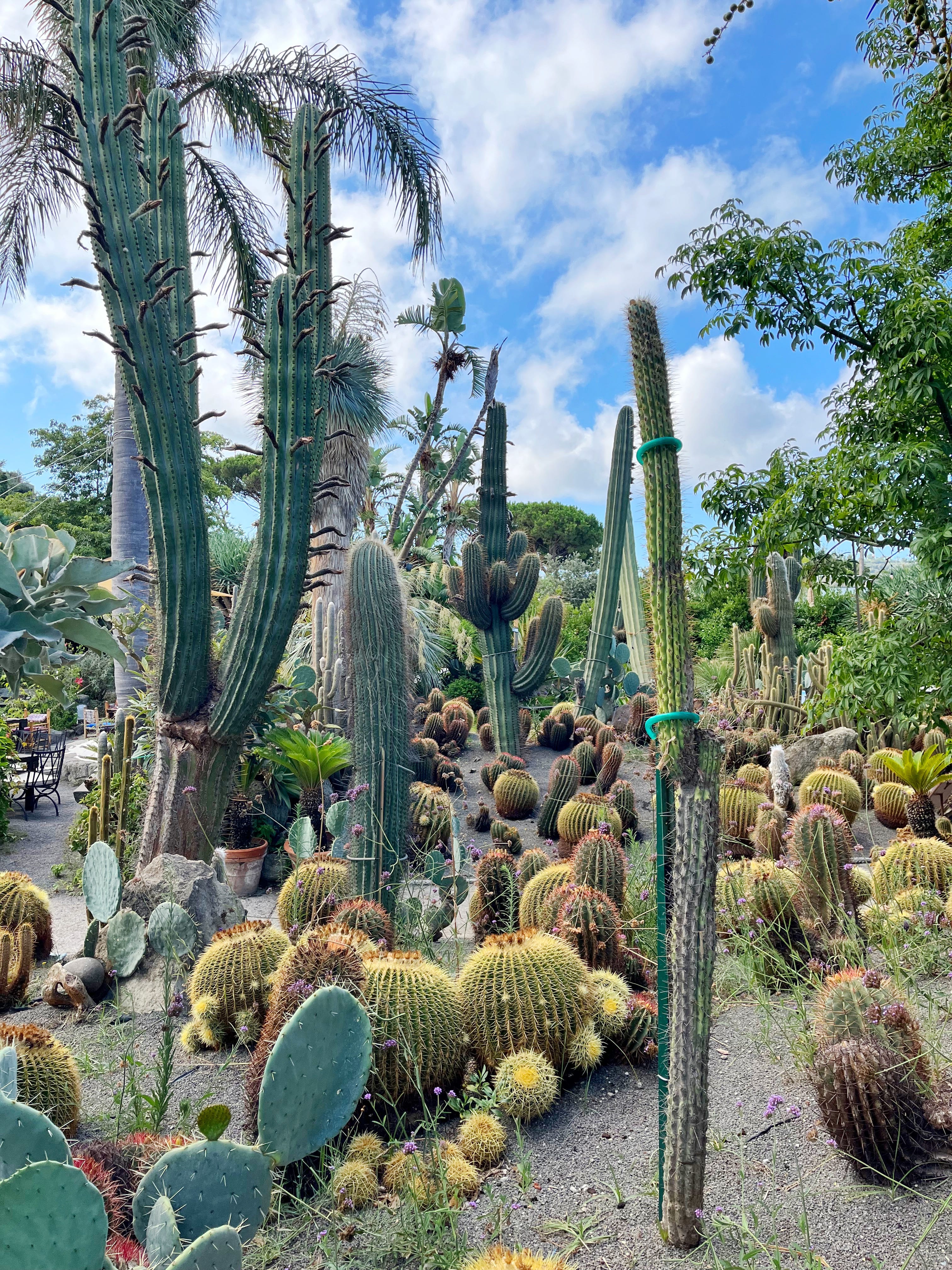 Why You Should Plan a Trip to Ischia - by Laura Itzkowitz, image size:3024x4032