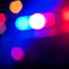 One Arrested After Vehicle Theft & Garage Incident in Grey Highlands on New Year’s Eve