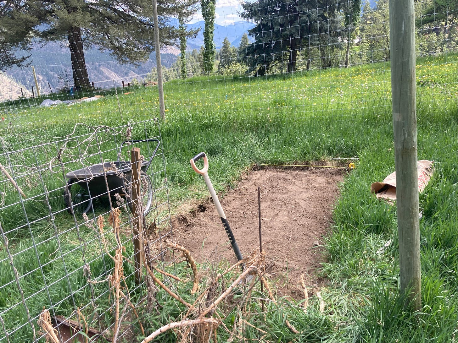 a section of bare ground dug out from a grass area