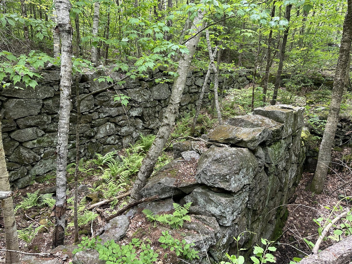 A Trek Along the Cocheco Railroad