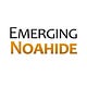 Emerging Noahide