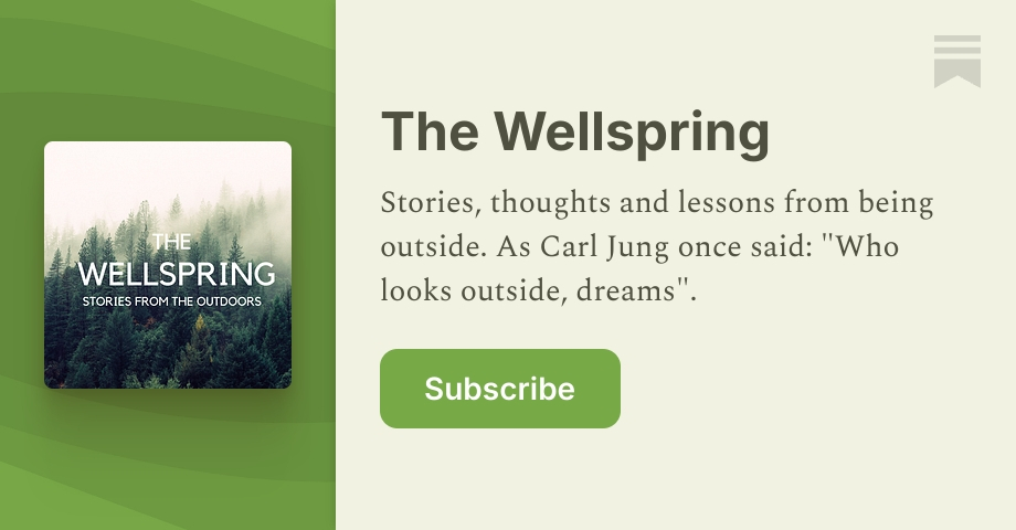 The Wellspring | Connor McGovern | Substack
