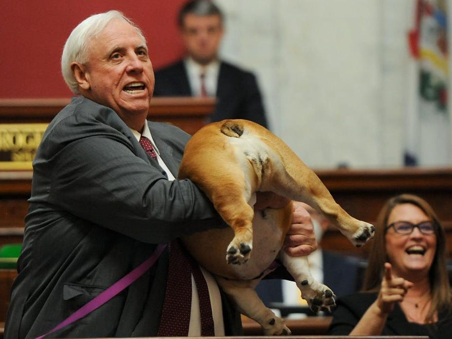 WV Gov. Jim Justice Tells Critics to Kiss Bulldog's 'Heinie': Video