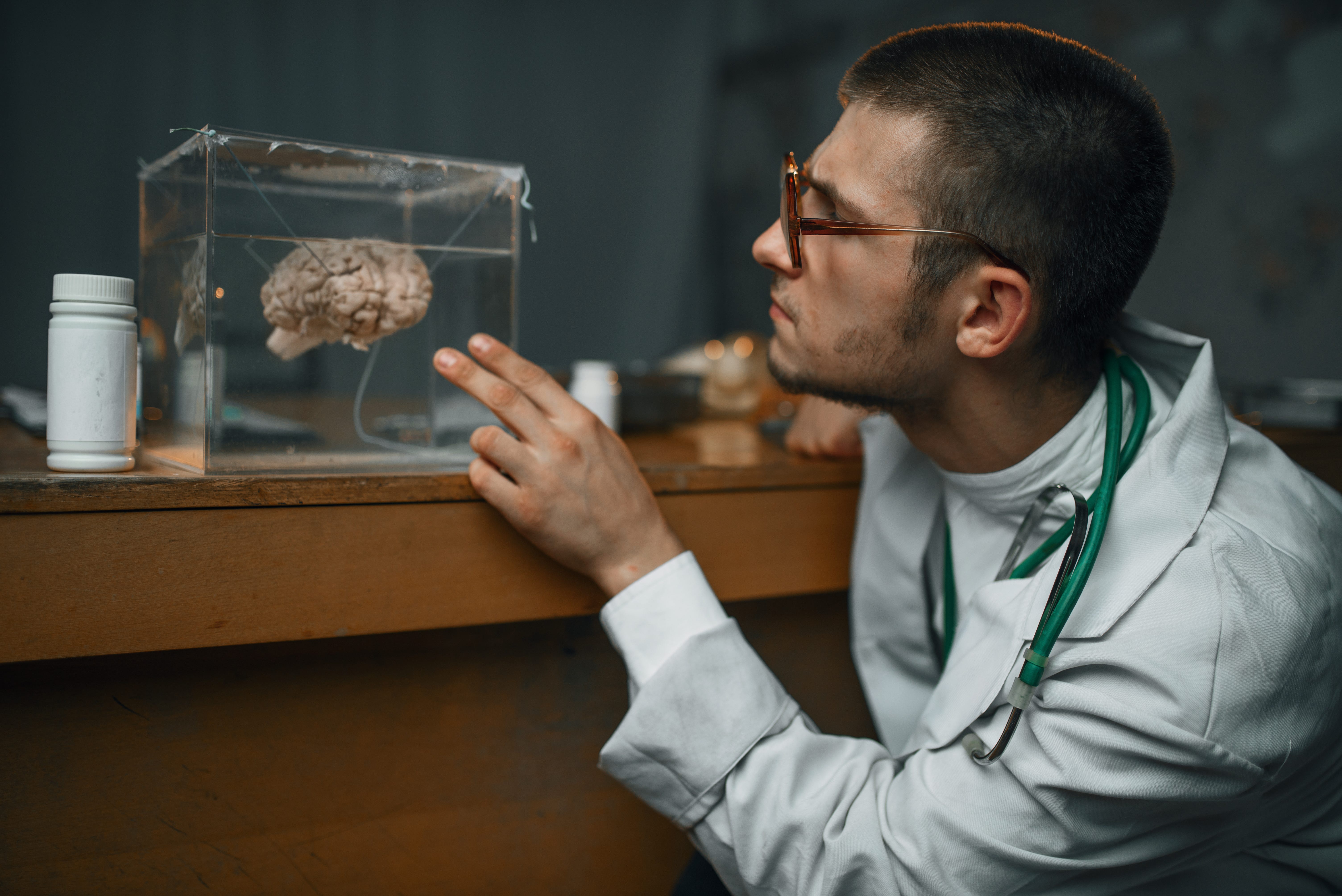 The Stolen Brain of Albert Einstein: The 40-Year Road Trip in a Cider Box
