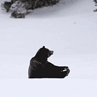 They Cuttin' Grandpa Loose? Tabs, Tues., Dec. 16, 2025