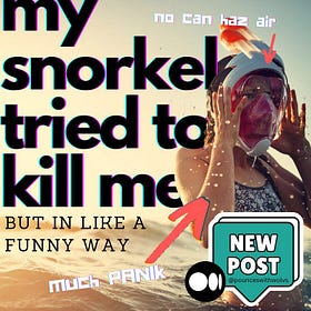 My Snorkel Tried to Kill Me in Hawaii