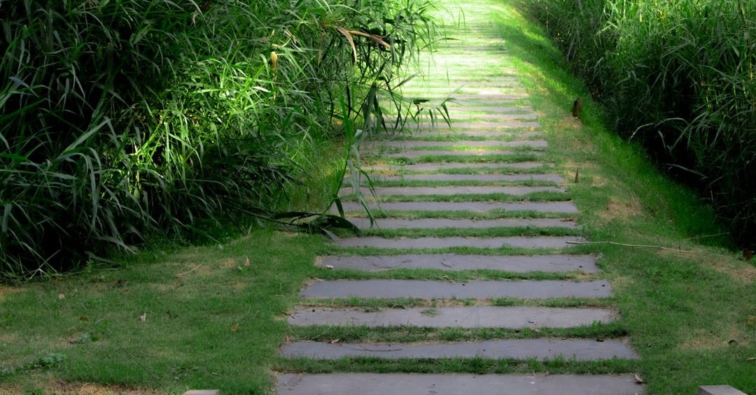 gray concrete staircase between green grass during daytime