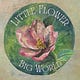 Little Flower Big World