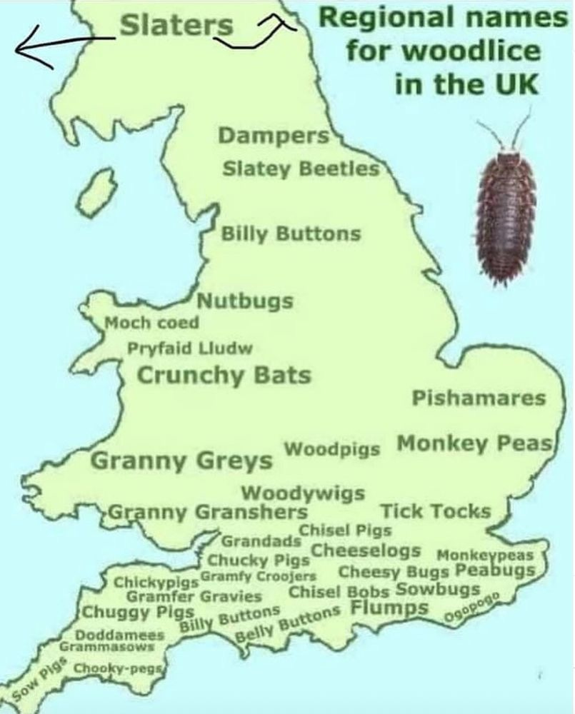 A map of all the different names for woodlice in the United Kingdom A map of all the different names for woodlice in the United Kingdom