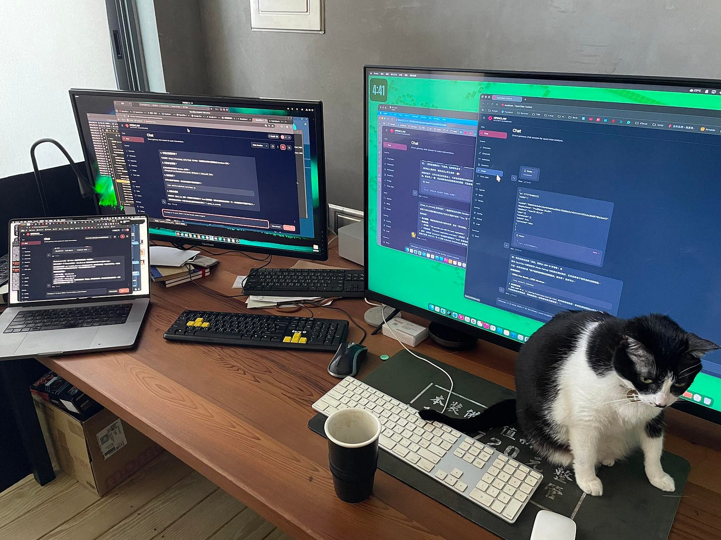 可能是文字的圖像 可能是文字的圖像