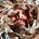 Richard W. Saunders's avatar