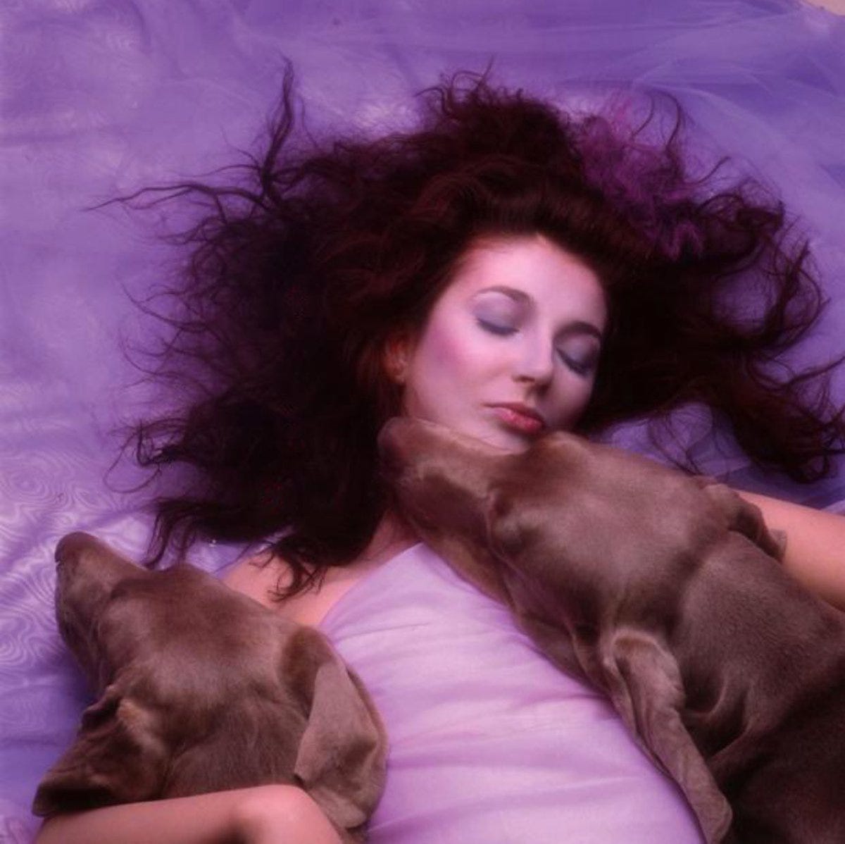 Kate Bush | Hounds of Love — Post-Punk.com