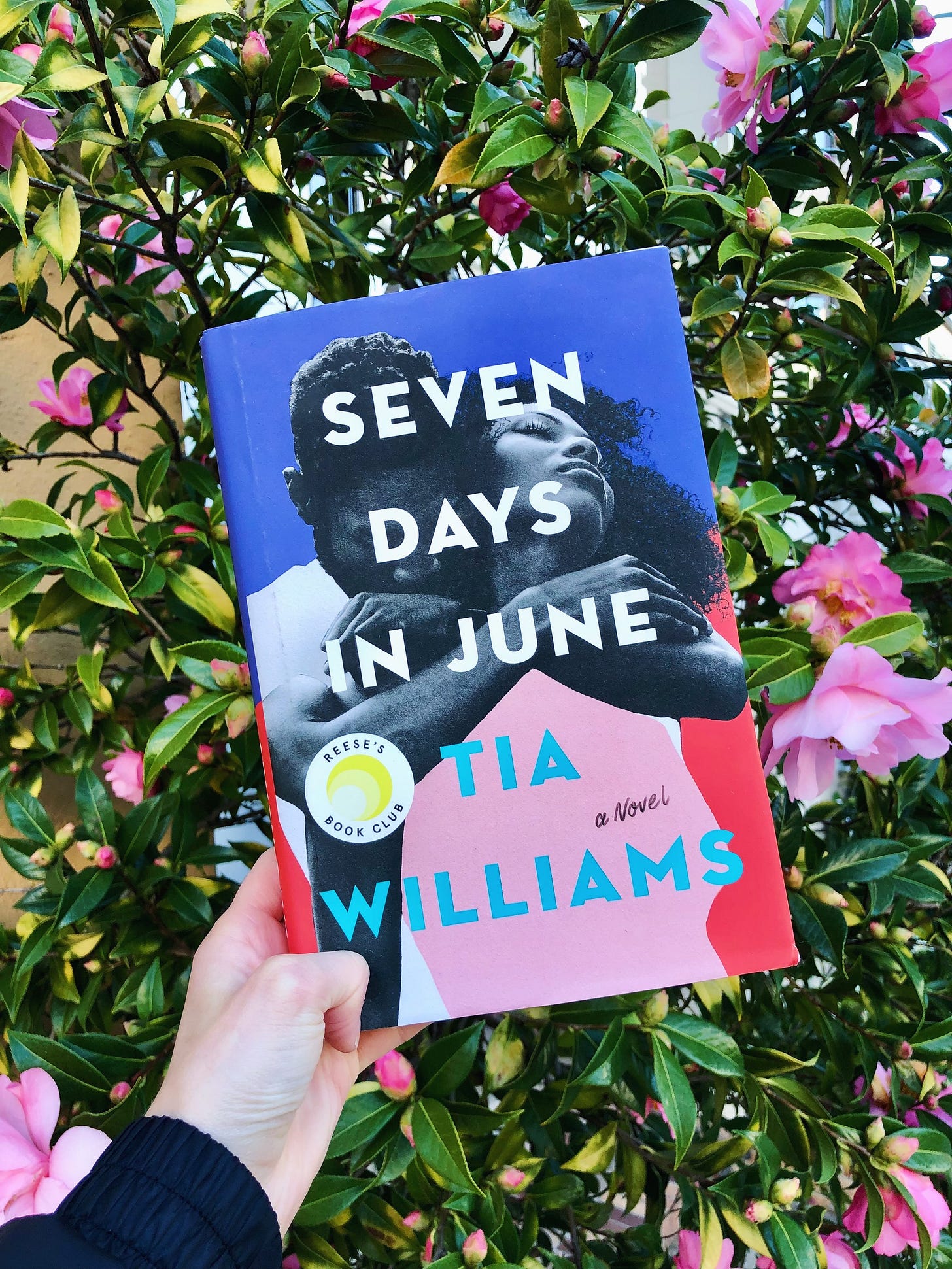 seven days in june by tia williams — ad astra