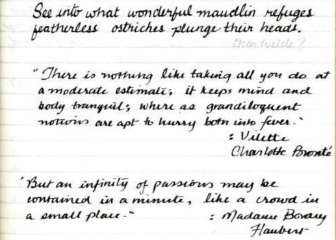 Quotes from Oscar Wilde, Charlotte, Brontë, and Gustave Flaubert