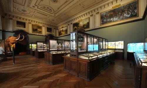 Exhibition hall with historic display cases, wooden floor, and paintings on the walls. A large taxidermy animal stands on the left. (AI-generated alt-text, generated with GPT-4.1-mini) Exhibition hall with historic display cases, wooden floor, and paintings on the walls. A large taxidermy animal stands on the left. (AI-generated alt-text, generated with GPT-4.1-mini)
