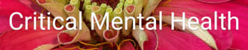 Critical Mental Health