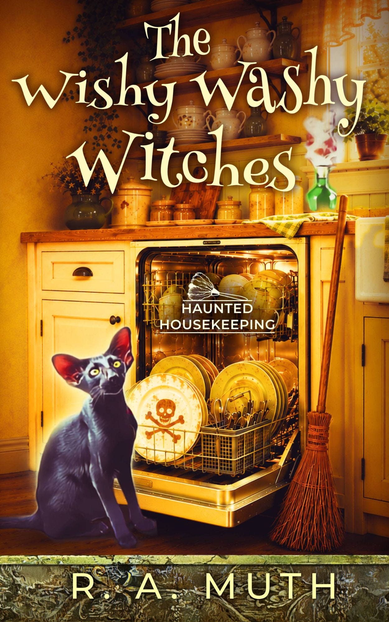 The Wishy Washy Witches book cover