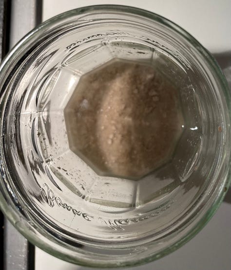 Dehydrated starter granules with water in a glass jar, 107 year old organic rye sourdough starter, sourdough bread, dehydrated starter, Australian flour, bake sourdough at home, RNR Sourdough, Rock n Roll Sourdough