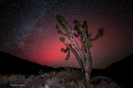 EarthSky - On Sunday evening, the #sun unleashed a powerful X ...