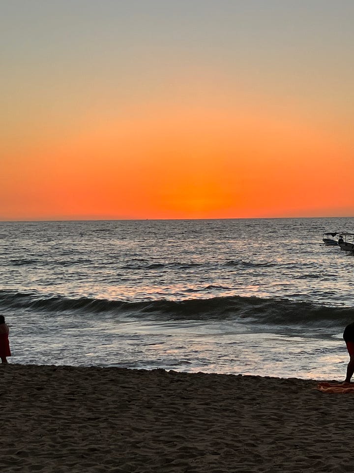The view and the best coconut shrimp with mango salsa.