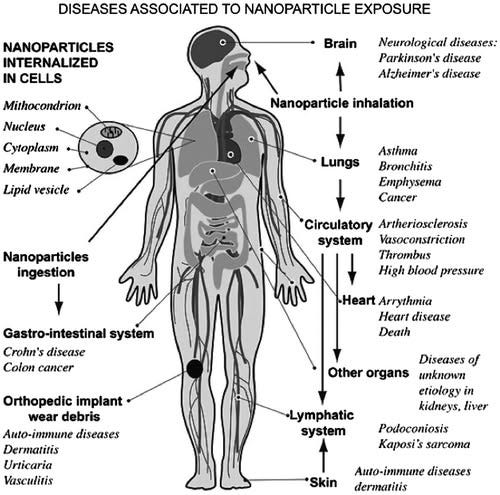 Ist möglicherweise ein Bild von Text „DISEASES ASSOCIATED To NANOPARTICLE EXPOSURE NANOPARTICLES INTERNALIZED IN CELLS Brain Mithocondrion Nucleus Neurological diseases: Parkinson's disease Al-eimer's disease Nanoparticle inhalation Cytoplasm Membrane Lipid vesicle Lungs Asthma Bronchitis Emphysema Cancer Nanoparticles ingestion Circulatory Artheriosclerosis system Vasoconstriction Thrombus High blood pressure WN Gastro-intestinal system Crohn's Crohn'sdisease disease Colon cancer Heart Arrythmia Heart disease Death Other organs Orthopedic implant wear debris Auto-immune diseases Dermatitis Urticaria Vasculitis Diseases of unknown etiology in kidneys, liver -Lymphatic system Podoconiosis Kaposi's sarcoma Skin Auto-immune diseases dermatitis“