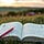 Field Notes