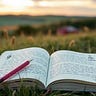 Field Notes