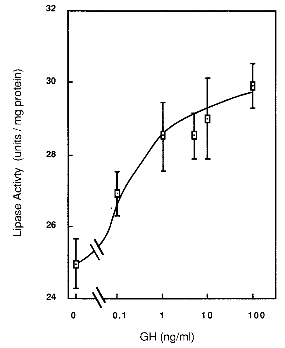 GH stimulates HSL 1 –2 h post-injection