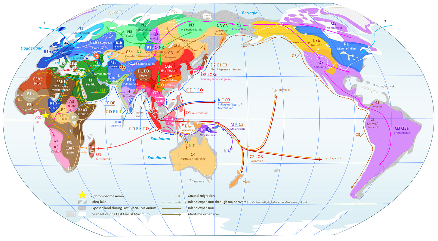 http://1.bp.blogspot.com/-HRq4KuMXBO8/UidRDkytIXI/AAAAAAAAJHc/uIxS37cCrXM/s1600/World_Map_of_Y-DNA_Haplogroups.png