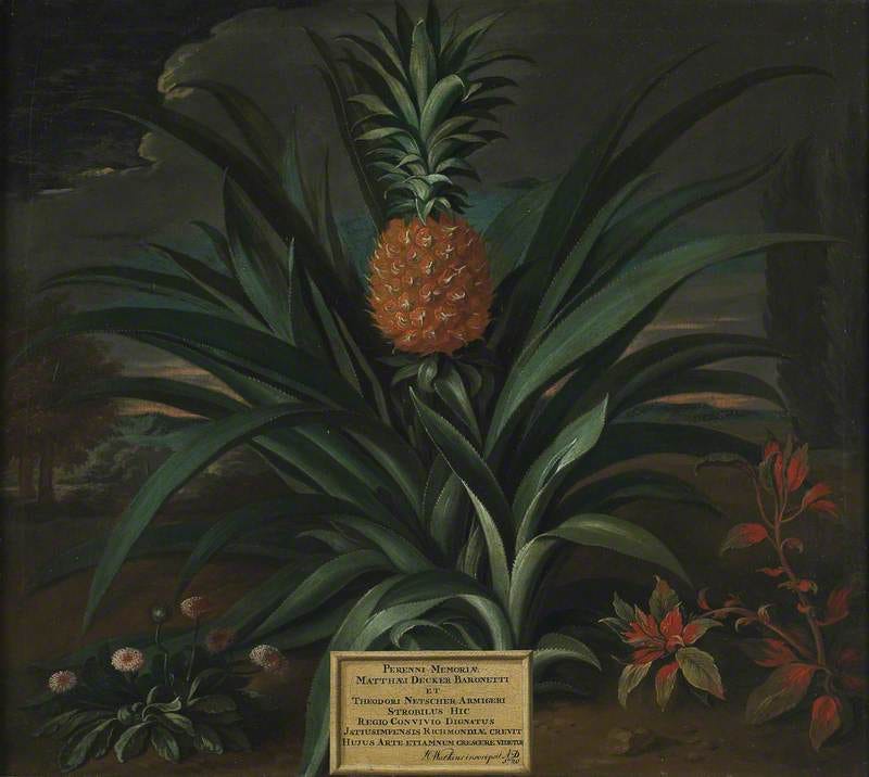 A pineapple!!