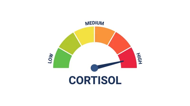 Cortisol Level / Cortisol Spike Meme Explained Cortisol Level / Cortisol Spike Meme Explained