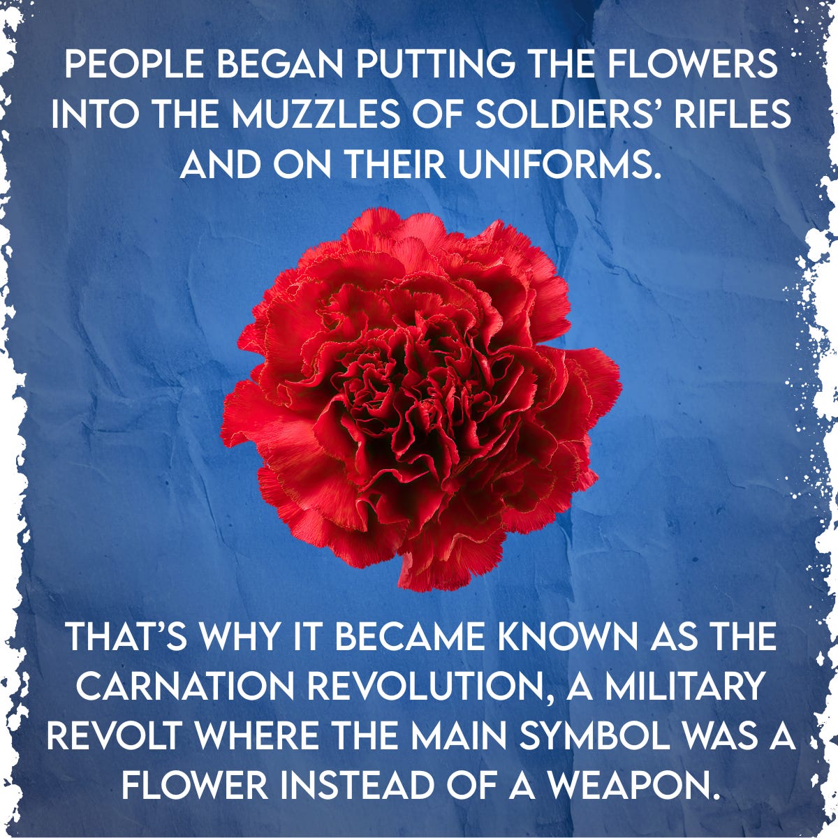 Graphic with a bright red carnation on a textured blue background. Text explains that people placed carnations in soldiersâ rifle muzzles and on their uniforms, and that this is why Portugalâs peaceful 1974 uprising is called the Carnation Revolutionâa military revolt where a flower, not a weapon, became the main symbol. Graphic with a bright red carnation on a textured blue background. Text explains that people placed carnations in soldiersâ rifle muzzles and on their uniforms, and that this is why Portugalâs peaceful 1974 uprising is called the Carnation Revolutionâa military revolt where a flower, not a weapon, became the main symbol.