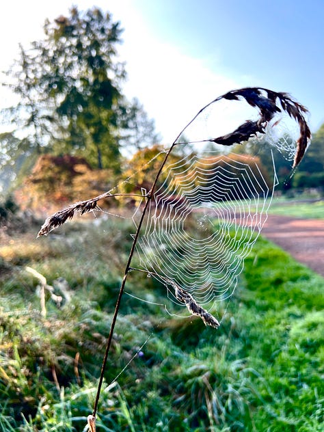 Each bird and stone, each roof and well,feels the gold foot of autumn pass;each spider binds with glittering snarethe splintered bones of grass.