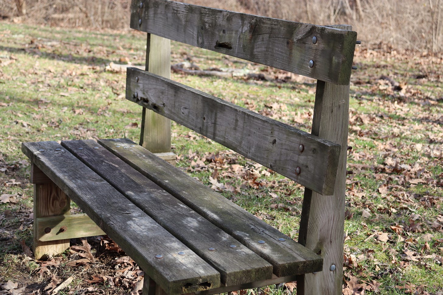 A solitary, wooden park bench with brown fallen leaves scattered around it