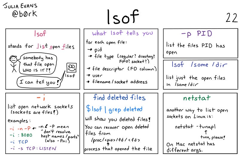 The lsof command in Linux - The Coding Gopher