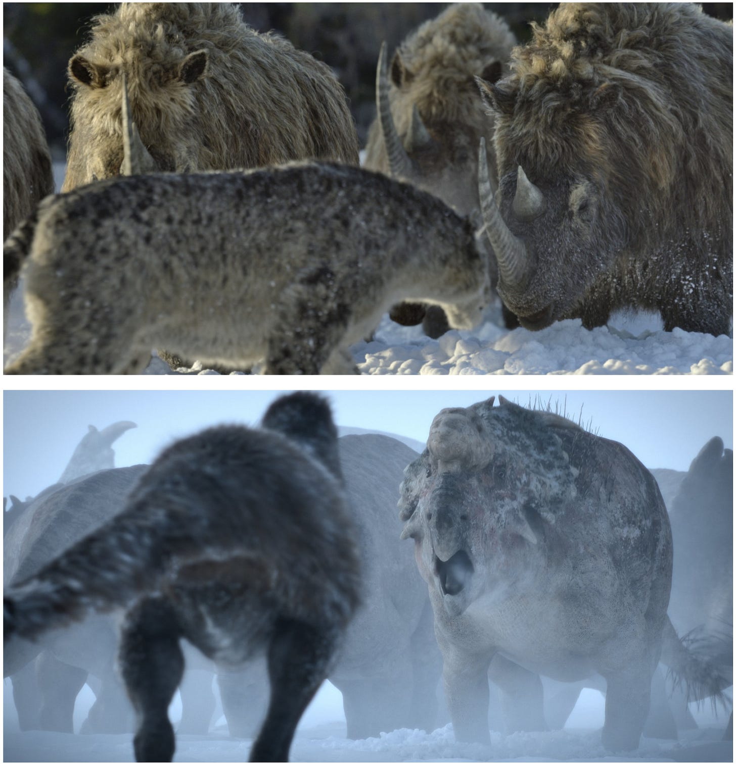 Top image: Homotherium is stared down by a herd of Coelodonta. Bottom image: Nanuqsaurus faces off against a herd of Pachyrhinosaurus.