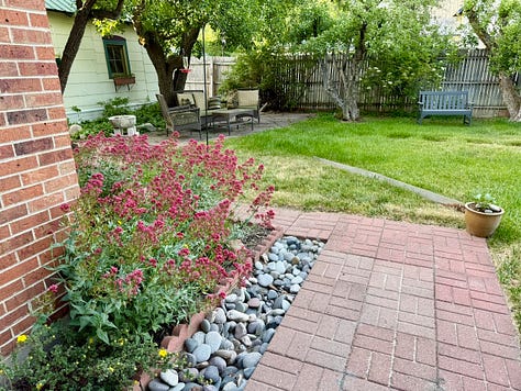 Photos include: tomato and other plants in an assortment of containers, American Robin standing nest with two nestlings atop a metal ladder, bowl of colorful succulent plants on a post next to a stucco wall, rosy and green Lewis' Woodpecker perched on a pear tree trunk, paving-stone walk lined with Red Valerian, coral-colored heritage rose blossom open wide. Photo credit: Susan J Tweit