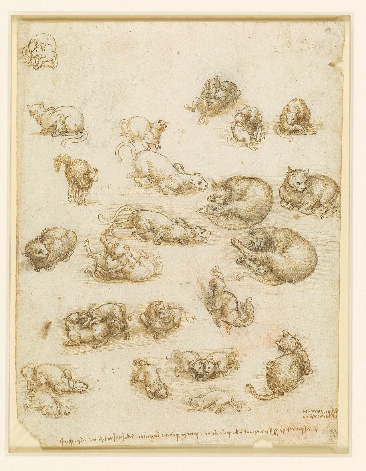 Leonardo da Vinci, Studies of Cats, about 1517 Leonardo da Vinci, Studies of Cats, about 1517