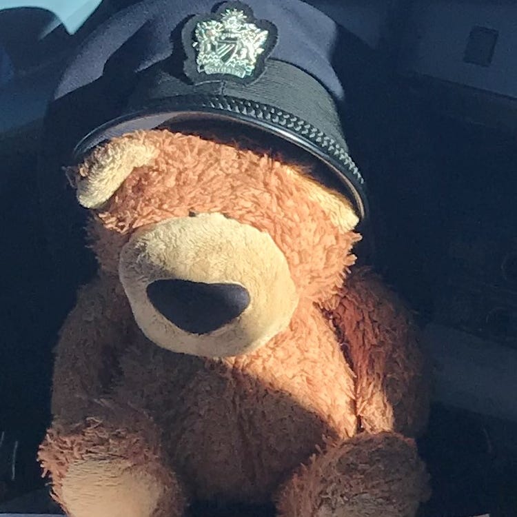 The View from the Bridge - by BearZ