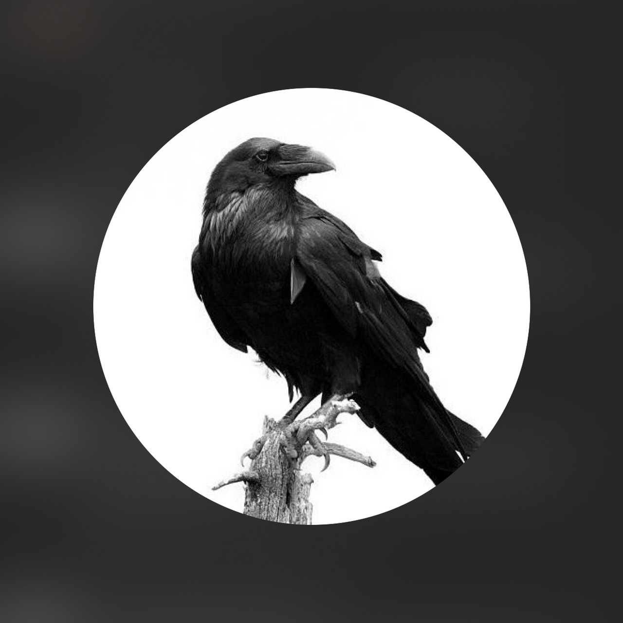 The Tormented Writers Society