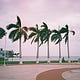Donde Me Lleva El Viento