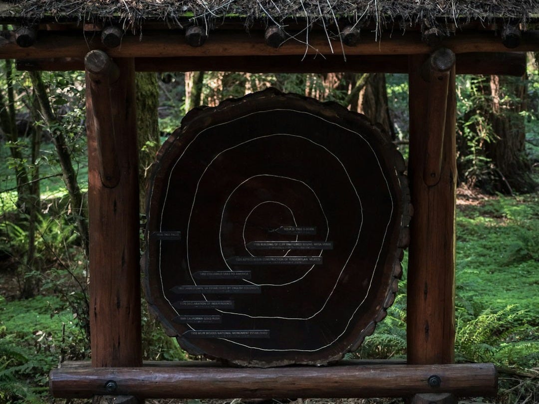 brown wooden round frame with round hole brown wooden round frame with round hole