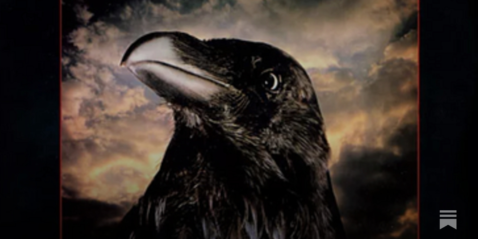 The Stranglers, 1979 - Penny Kiley's music writing