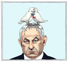 bibi dove