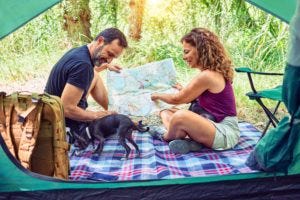 adults camping